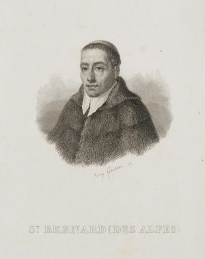 Portrait des St. Bernard des Alpes