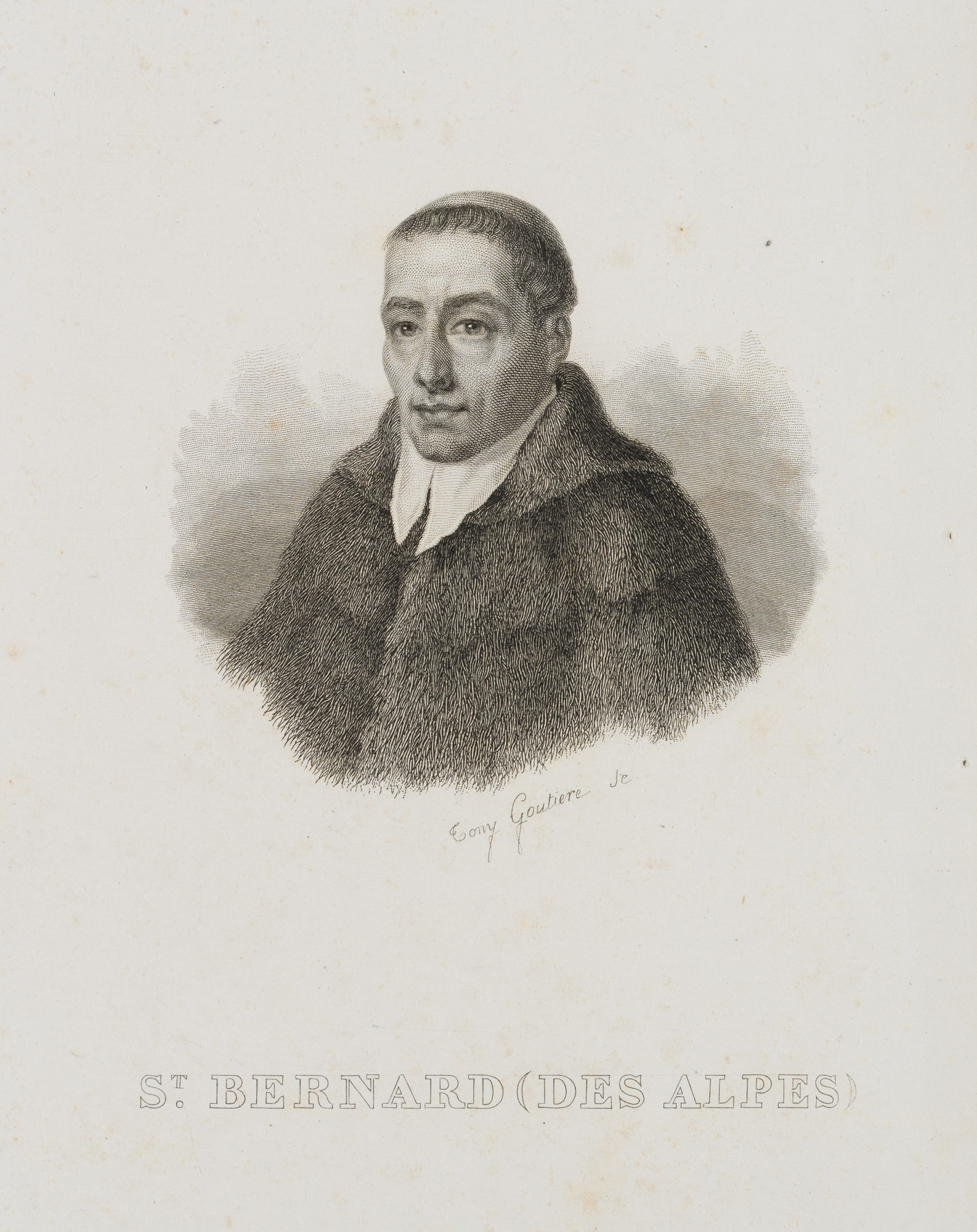 Portrait des St. Bernard des Alpes