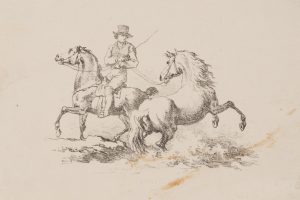 Reiter mit aufbäumendem Pferd