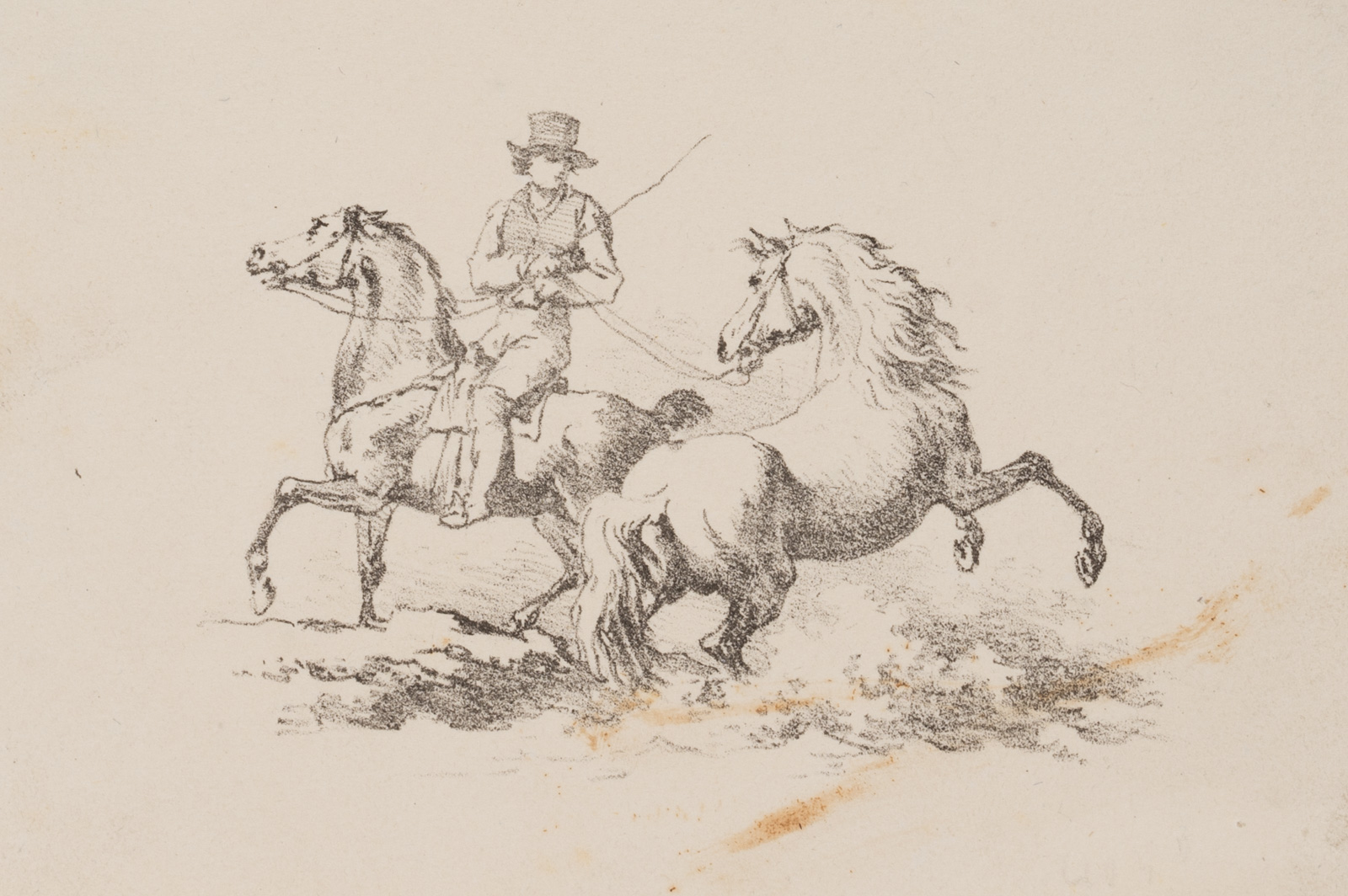 Reiter mit aufbäumendem Pferd