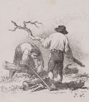 Holzfäller bei der Arbeit