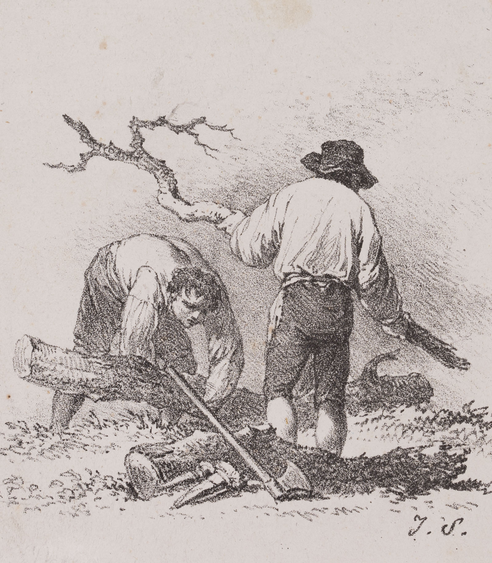 Holzfäller bei der Arbeit