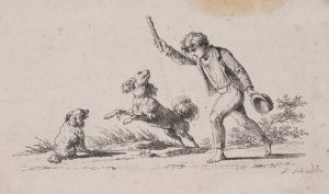 Spielender Knabe mit zwei Hunden
