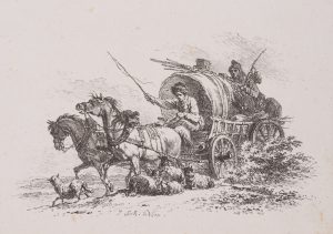 Fahrender Planwagen bei Schafherde