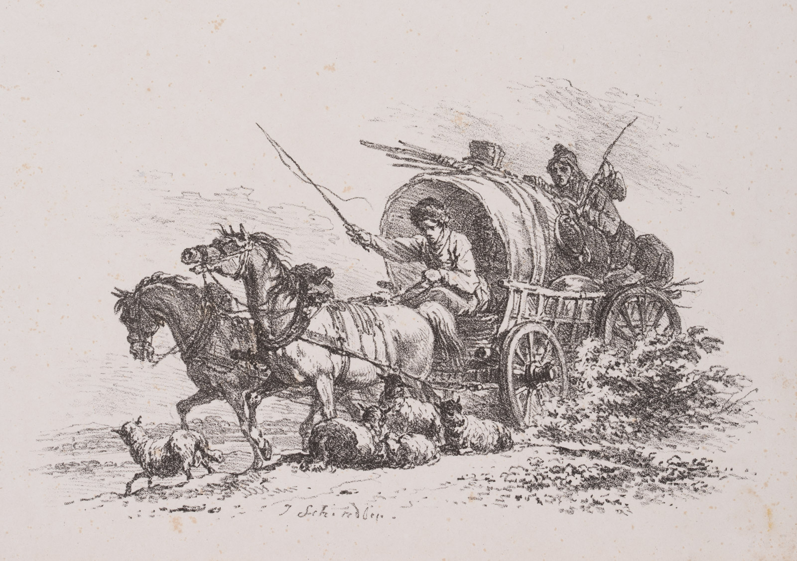 Fahrender Planwagen bei Schafherde