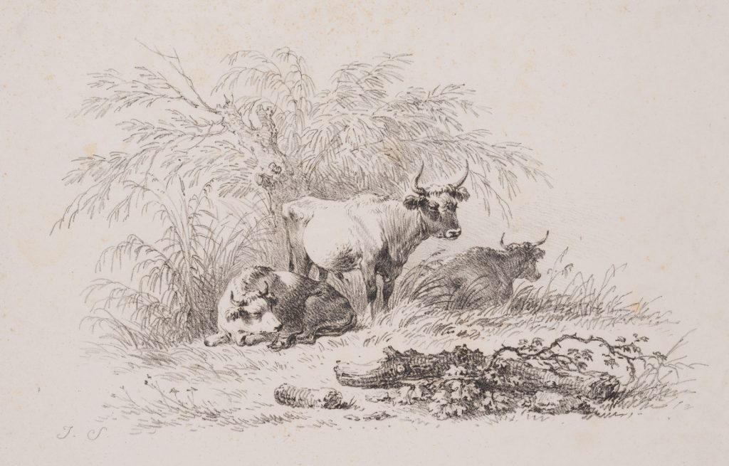 Werk von Johann Josef Schindler