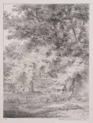 Bienenstock an altem Baum an Weide