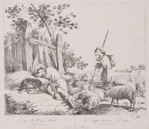 Der Wolf als Hirte