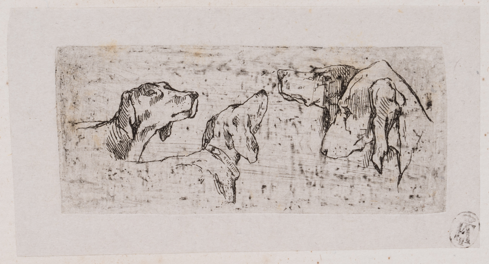 Tierstudie mit Jagdhunden