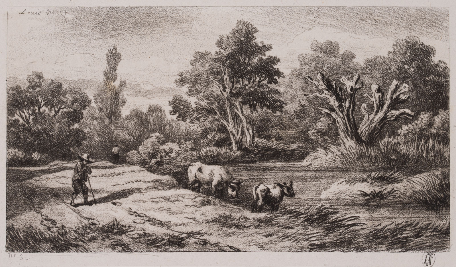 Vieh bei der Tränke am Fluss