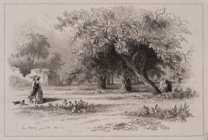 Parklandschaft mit elegantem Paar
