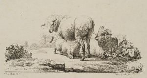 Schafsfamilie auf der Wiese