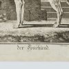 Ansicht 4