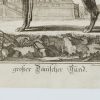 Ansicht 4