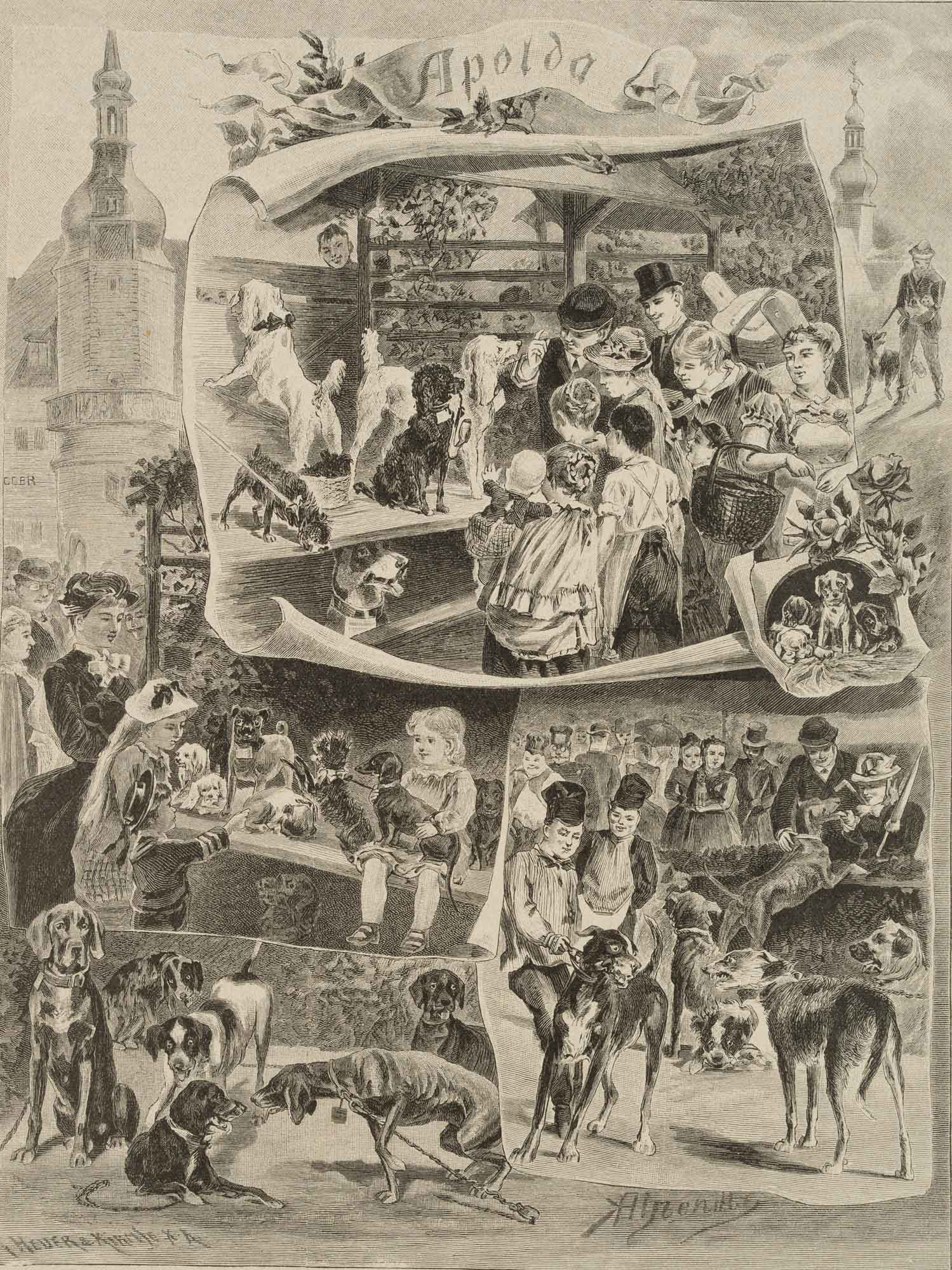 Hundemarkt in Apolda