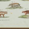 Ansicht 4