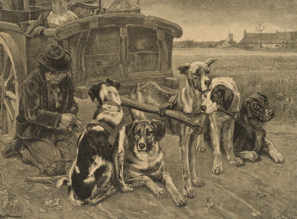 Werk von Karl Uchermann