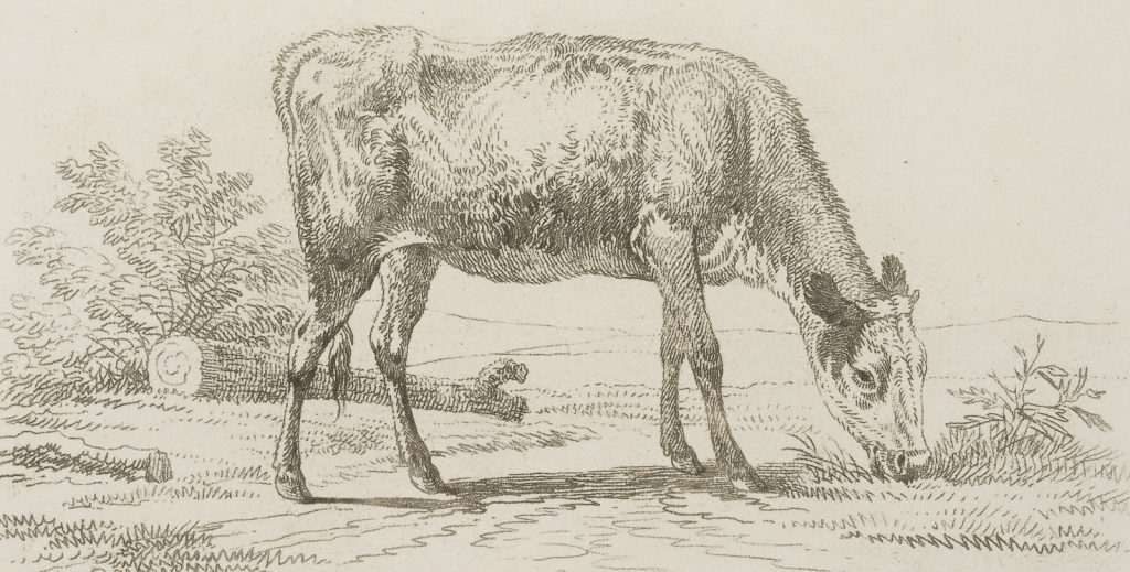 Werk von Anton Hezinger