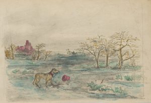 Hund in Moorlandschaft