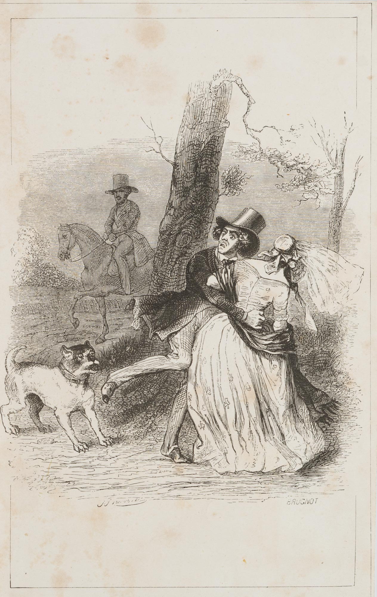 Abendspaziergang mit Hundebegegnung