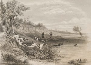 The sport of otter hunting