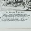 Ansicht 4