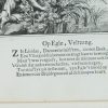 Ansicht 4