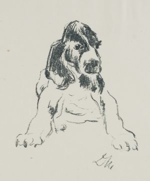 Hund in hockender Position
