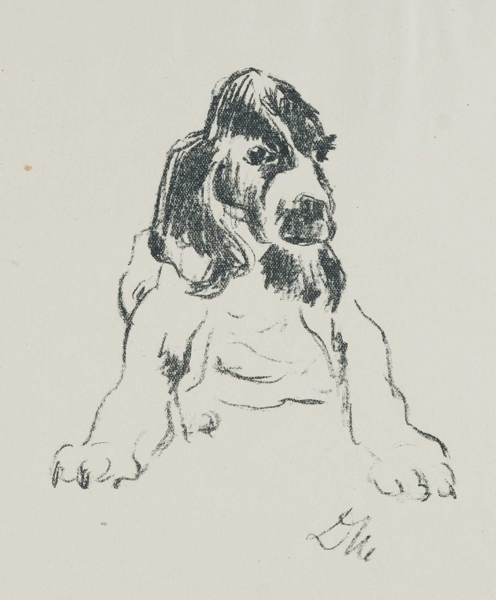 Hund in hockender Position