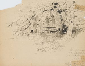 Waldstückskizze mit wilder Terrasse