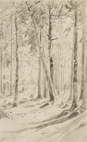 Waldstück mit Pilzesammlerin
