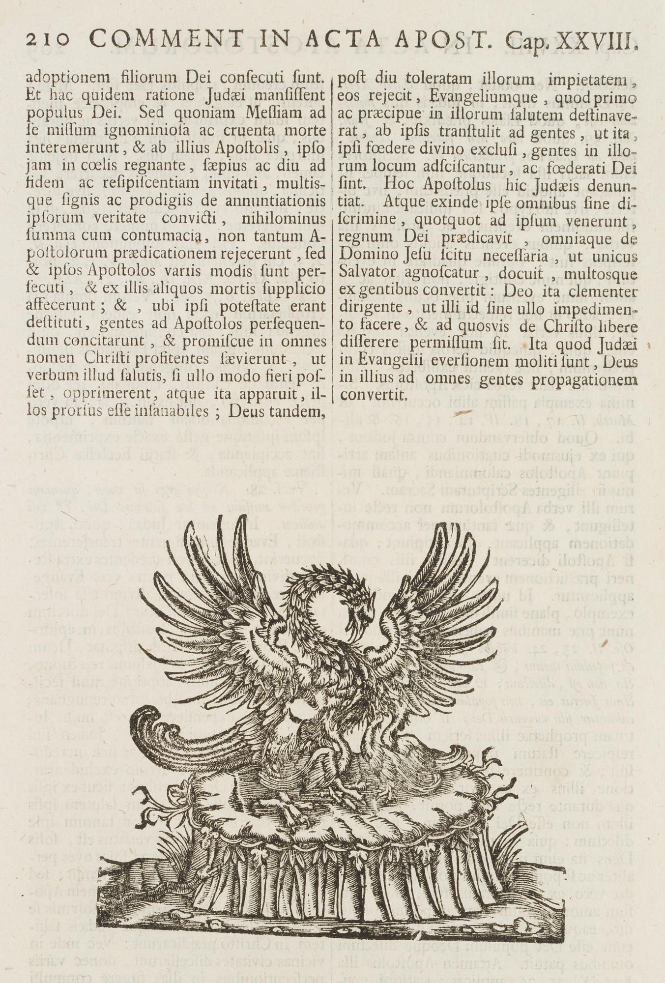 Titelvignette, Adler mit Küken