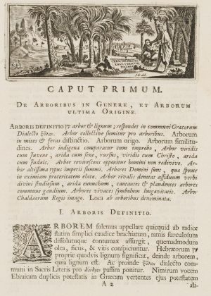 Titelvignette mit Palmen