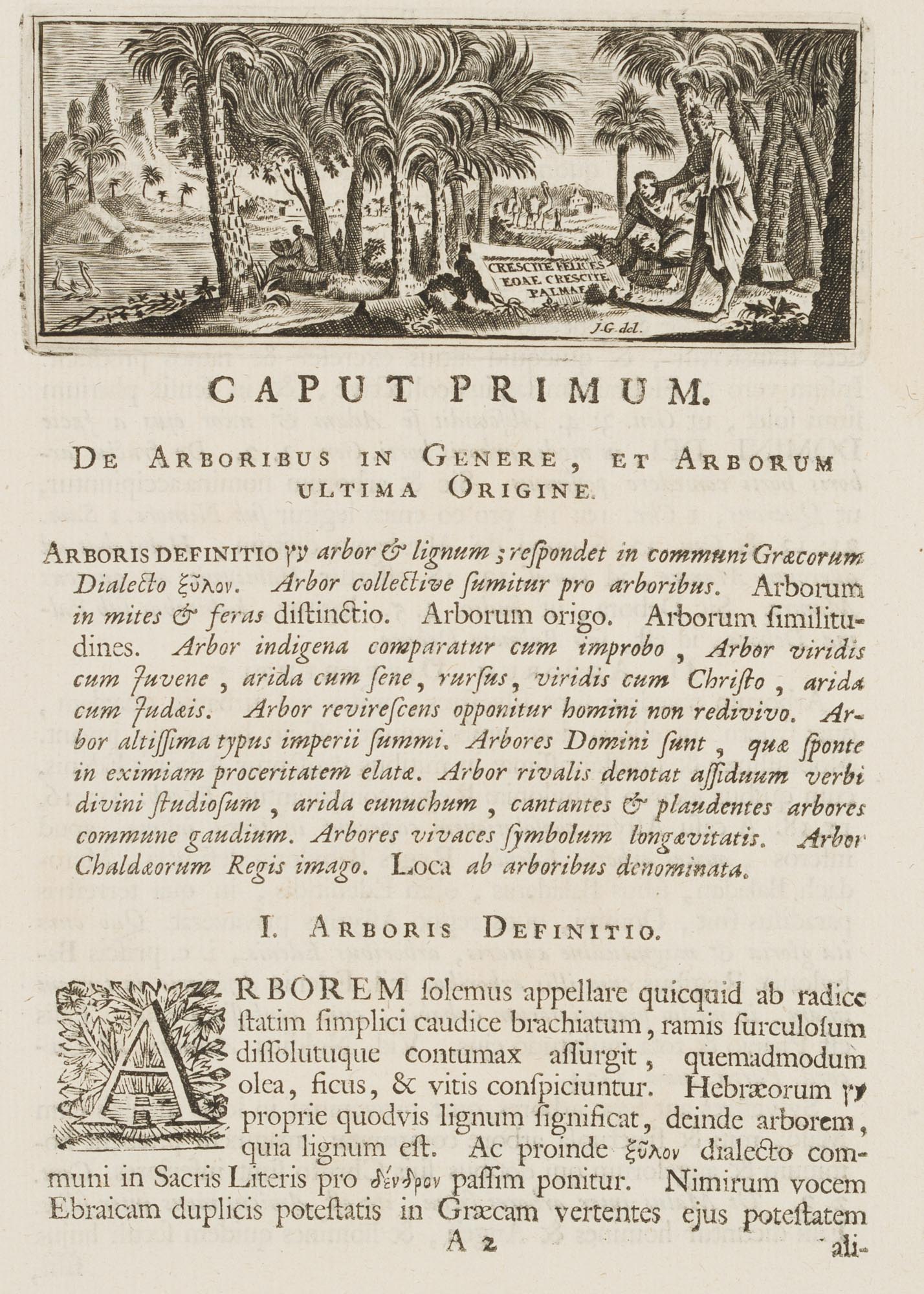 Titelvignette mit Palmen
