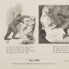 Ansicht 4