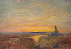 Heide im Sonnenuntergang
