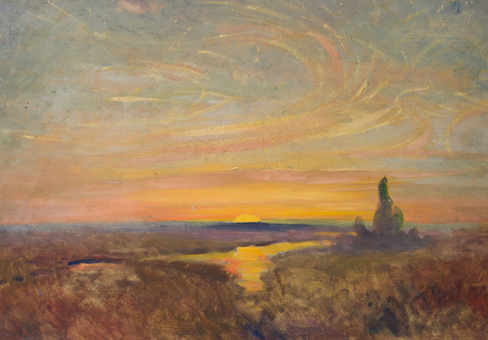 Heide im Sonnenuntergang
