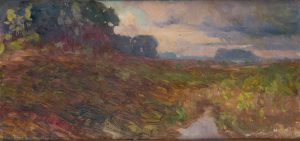Heide im Morgenlicht