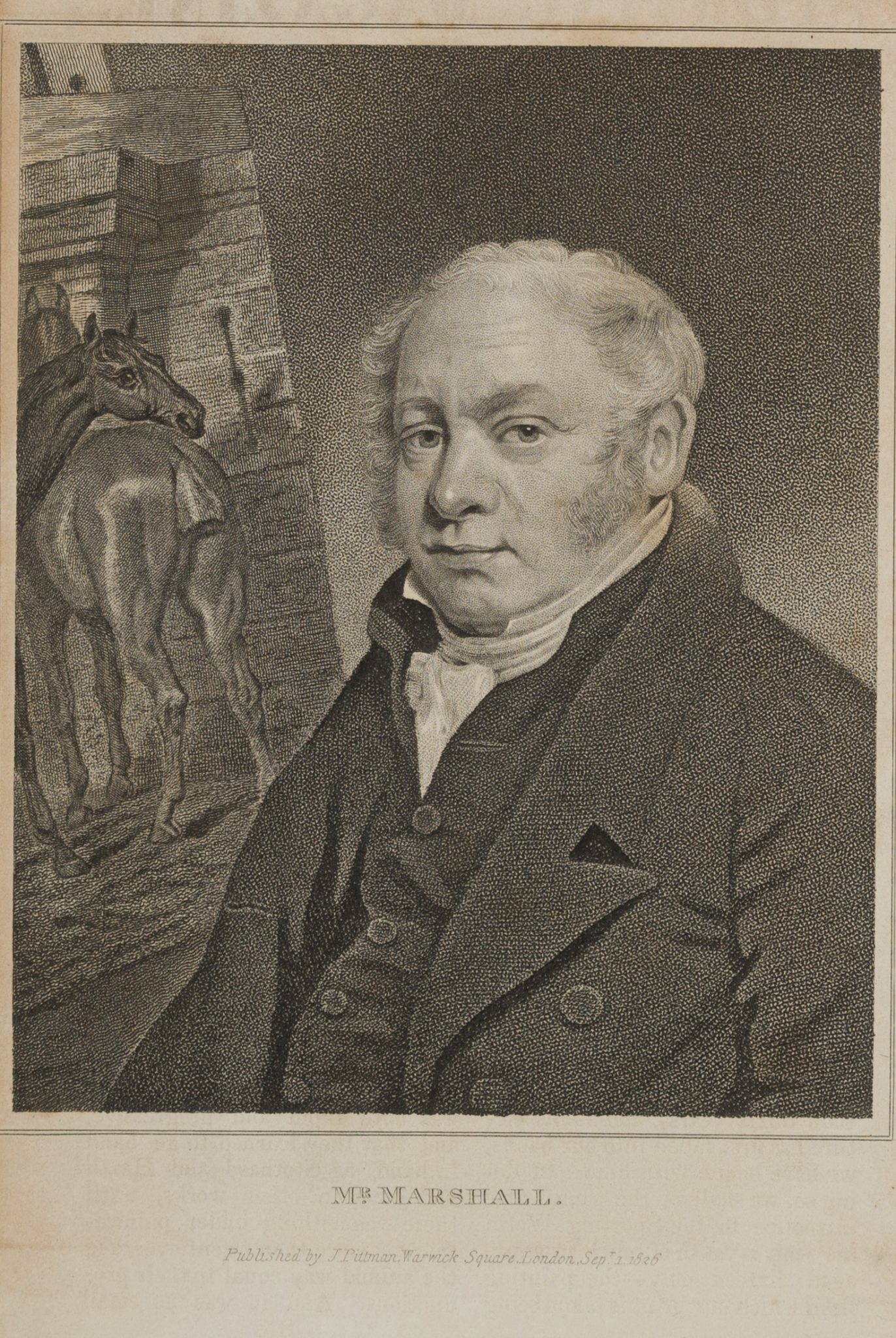 Pferdemaler Benjamin Marshall