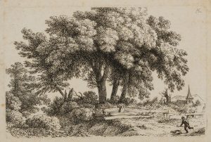 Landschaft mit großem Baum