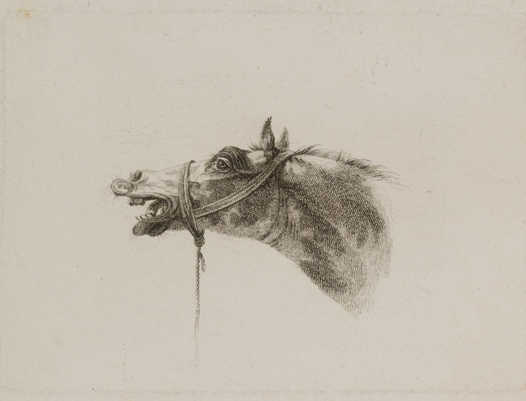 Werk von Gerrit Malleyn