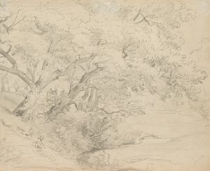 Uferlandschaft