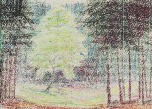 Waldlichtung bei Hundstadt, Taunus