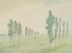 Pappel-Allee im Taunus