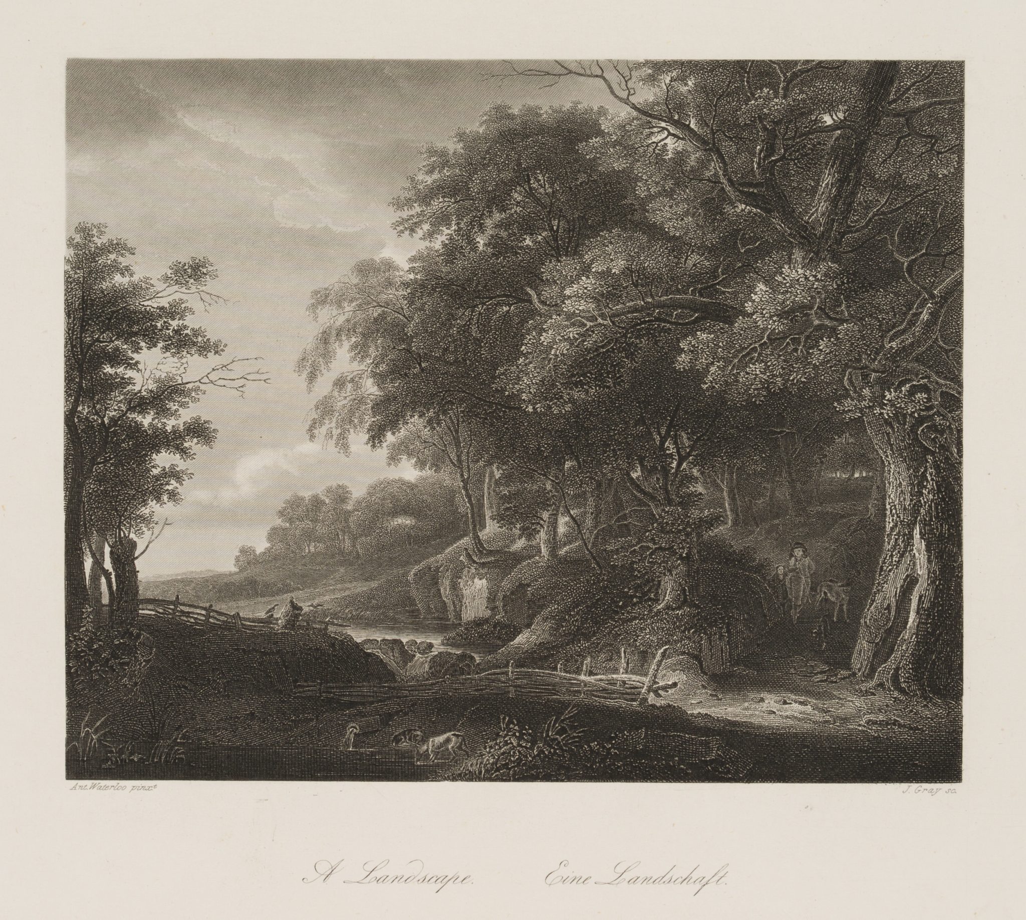 Waldlandschaft