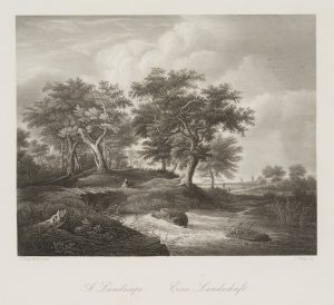 Stromschnellen am Waldrand