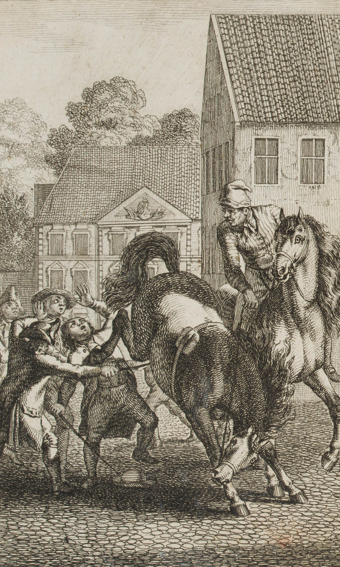 Buchillustr. Ausschlagendes Pferd