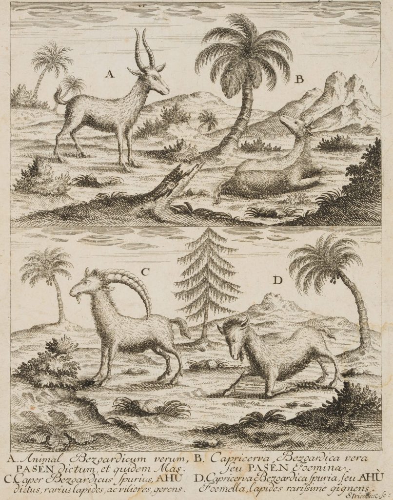 Werk von Johann Stridbeck d. J.