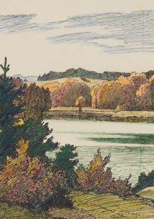 Sonniger Waldsee