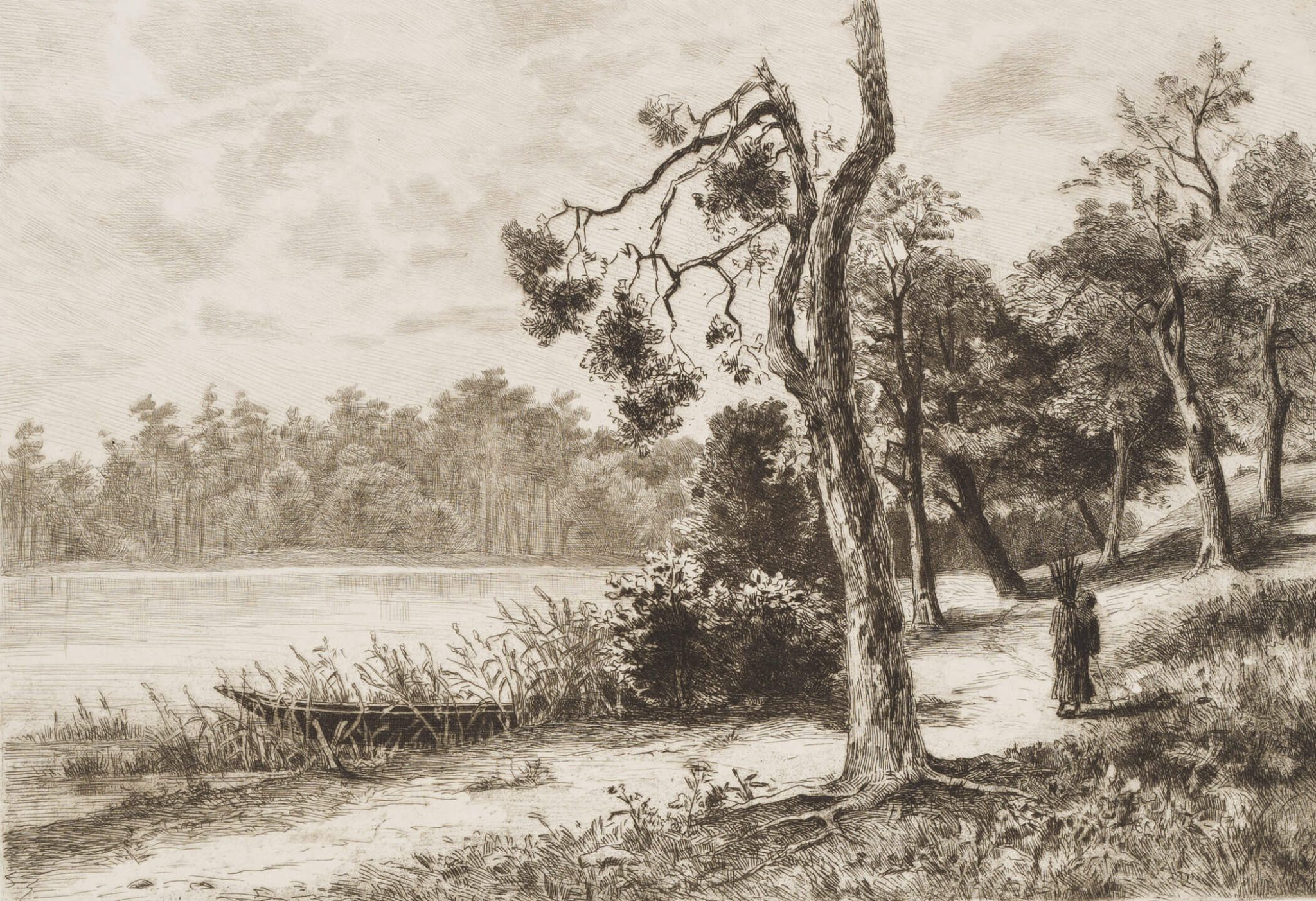Wolgastsee, Insel Usedom